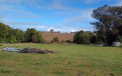 Terreno en Parcelación Santa Rosa, Braunau